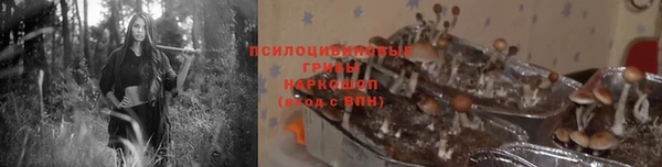 дурь Михайлов