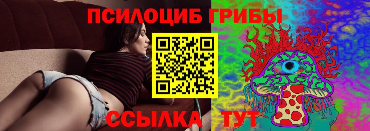 Чусовой  Галлюциногенные грибы мицелий  Вход с VPN 