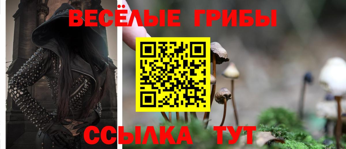 Галлюциногенные грибы мицелий Чусовой